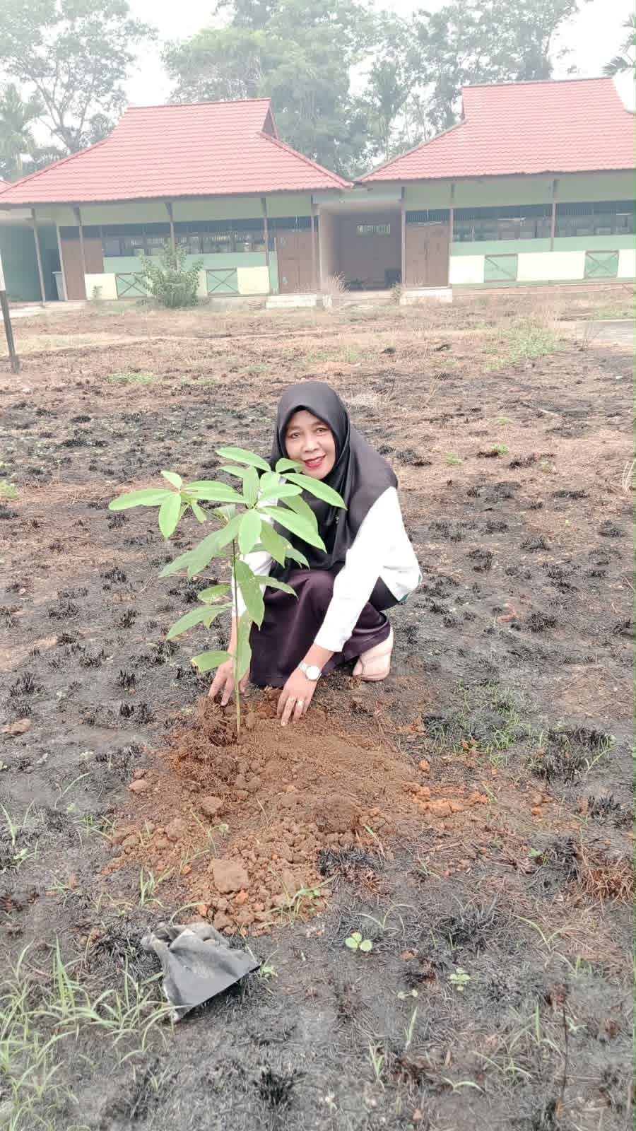 Tanam Bibit Pohon di Usia ke-56, Kepala MAN Mempawah Teguhkan Komitmen Cinta Lingkungan